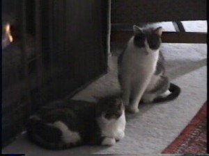 Minu and Loki in 2003