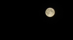 2013 08 20 Blue moon (14)
