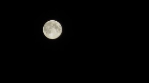 2013 08 20 Blue moon (22)