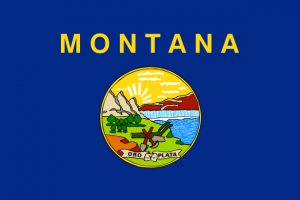 Flag_of_Montana.svg